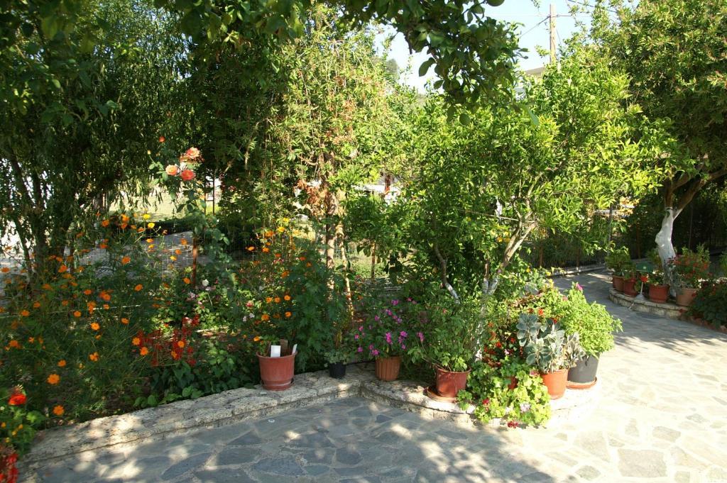 بارغا Zotos Rooms المظهر الخارجي الصورة